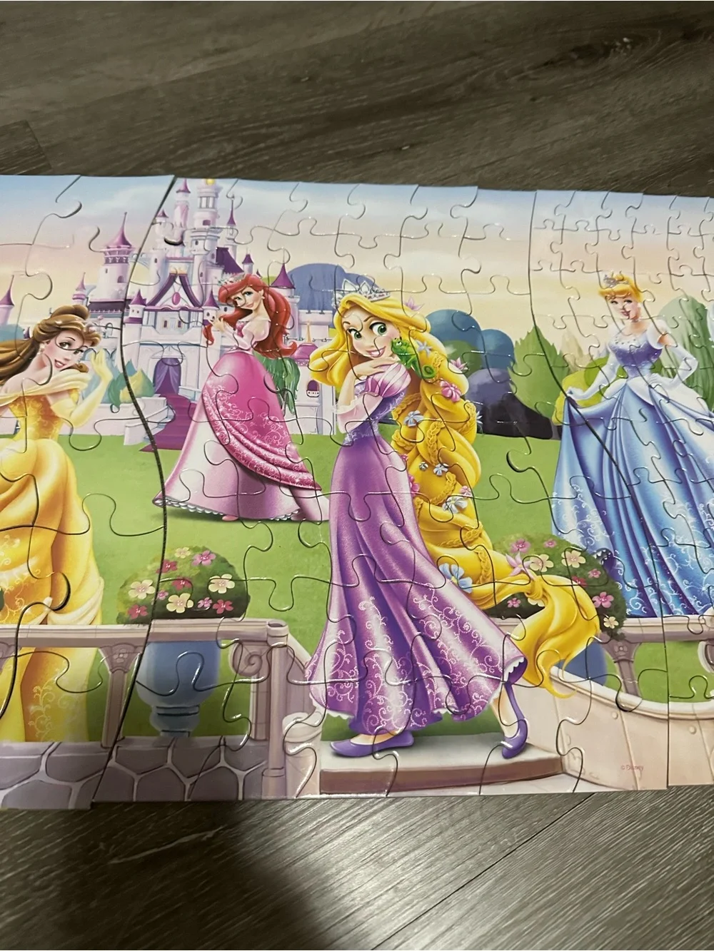 Disney Princess 3 in 1 Panoramic Puzzle (3 Puzzles in 1) - 172 Pieces
